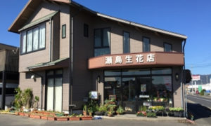 島根県に胡蝶蘭を配送